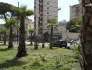 Napoli, Viale Augusto rinasce: completata la riqualificazione dell’arteria principale di Fuorigrotta