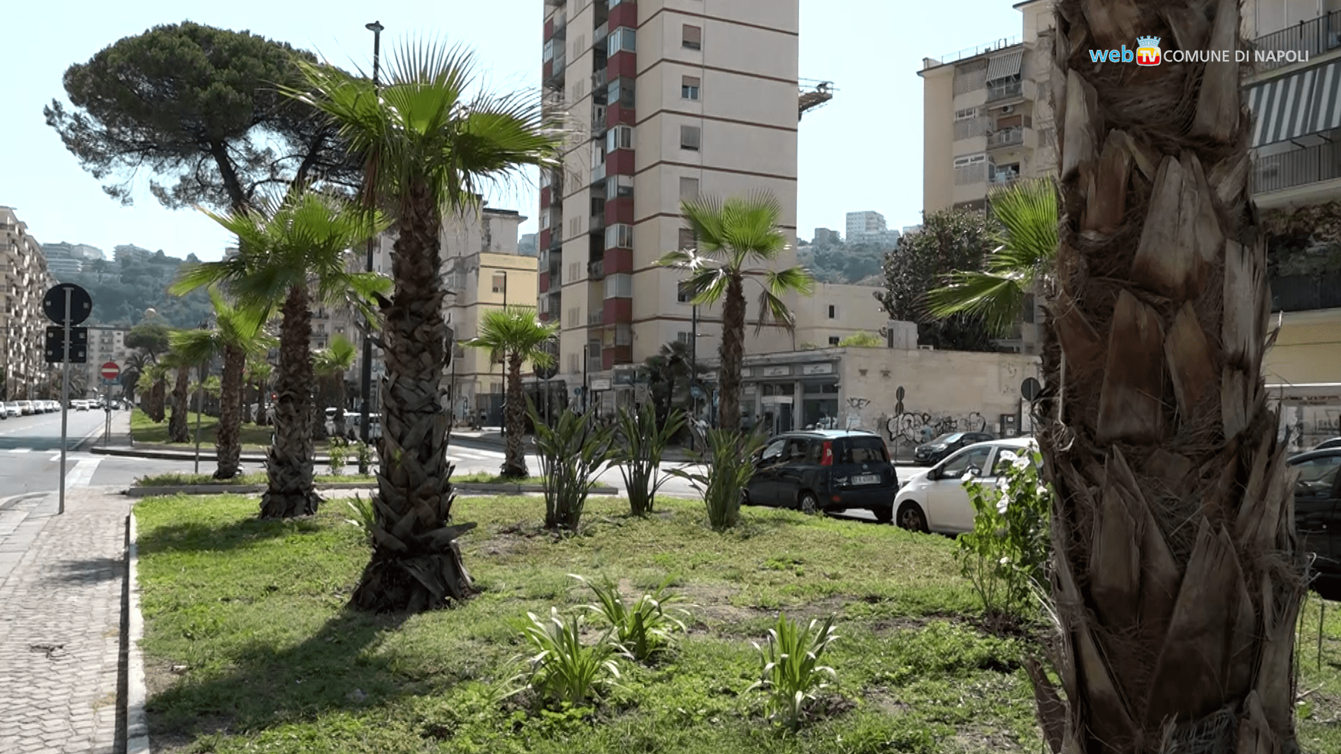 Napoli, Viale Augusto rinasce: completata la riqualificazione dell’arteria principale di Fuorigrotta