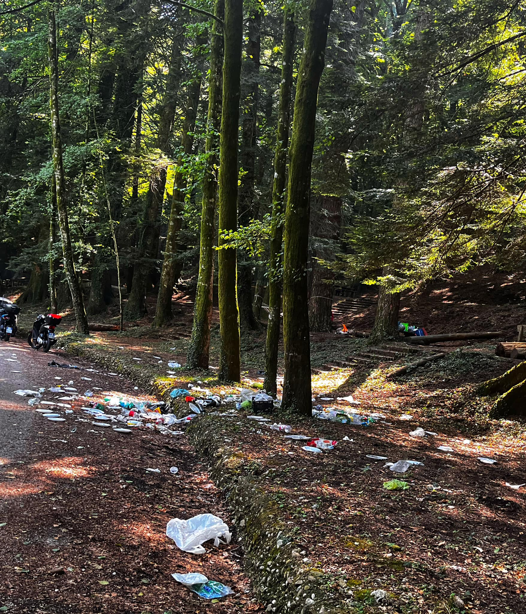 Discarica abusiva scoperta nel Parco del Taburno: rifiuti pericolosi abbandonati a Cautano, un crimine ambientale in piena regola