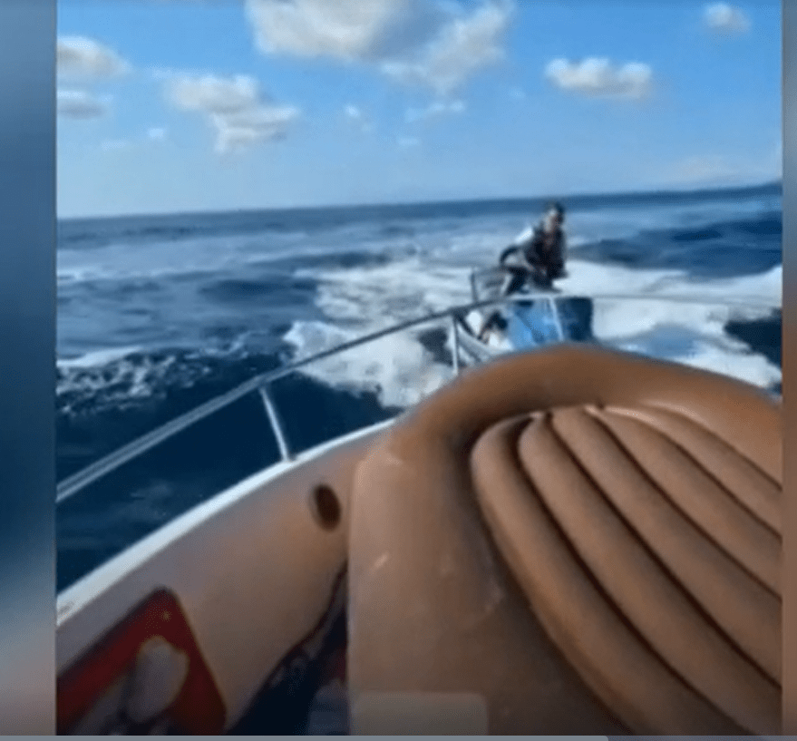 Ischia, inseguimento in mare e arresto a Forio: scontro tra versione ufficiale e video della difesa