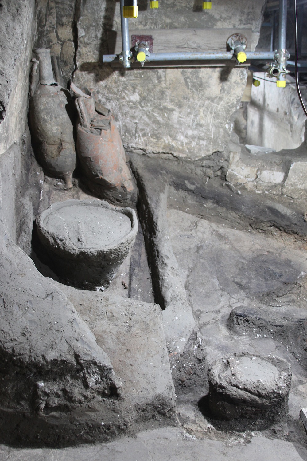 Fave, frutta e controllo: così vivevano gli schiavi della villa pompeiana