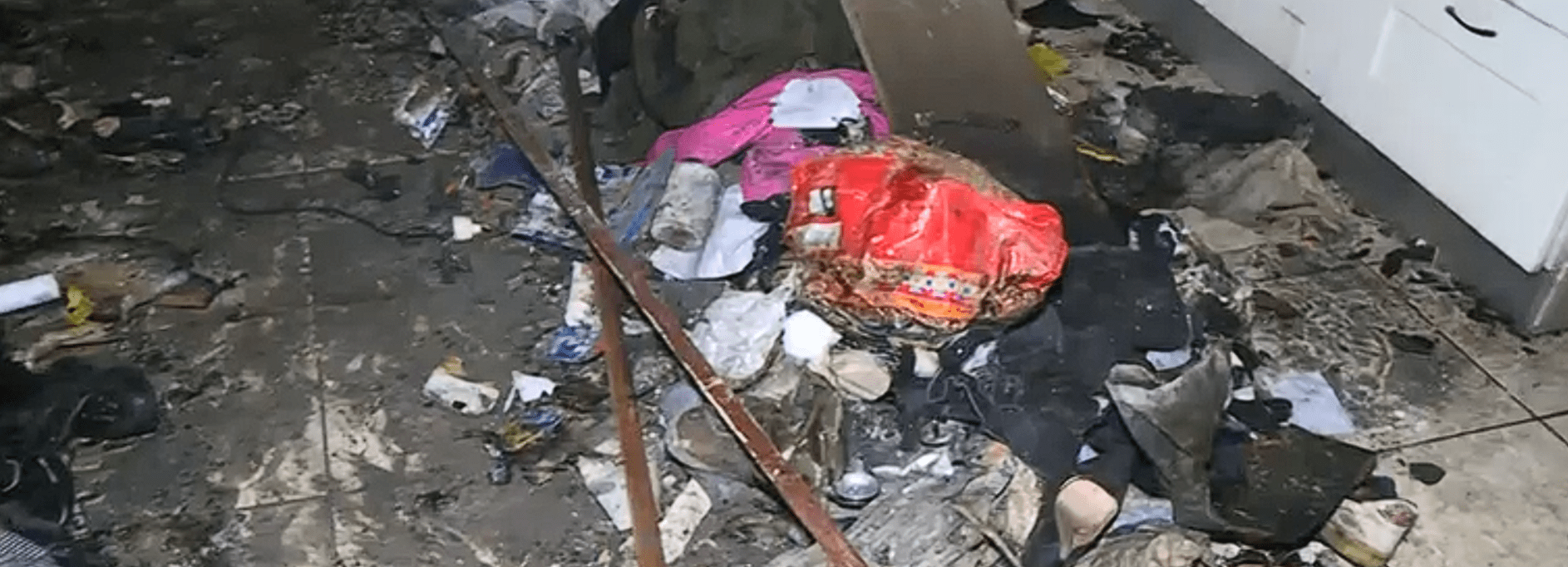 Incendio a Napoli nei Quartieri Spagnoli, famiglia salvata dal cane Rocky