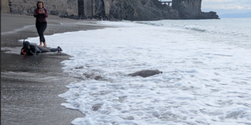 A Maiori, quattro tartarughe marine ritornano in mare dopo il salvataggio