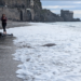 A Maiori, quattro tartarughe marine ritornano in mare dopo il salvataggio