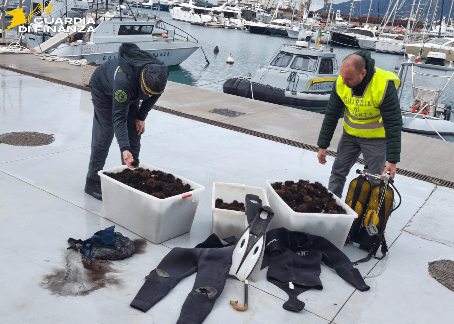 Pesca illegale di ricci di mare a Salerno: sequestrati 2500 esemplari, maxi sanzione da 18mila euro