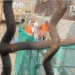 Napoli, operai senza caschi né imbracature nel cantiere Circumvesuviana