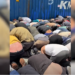 Israele sequestra la Global Sumud Flotilla: attivisti inginocchiati e mani legate nel porto di Ashdod