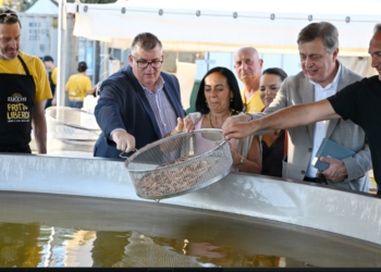 Festa del Pescato di Paranza 2026, boom di presenze a Castellabate