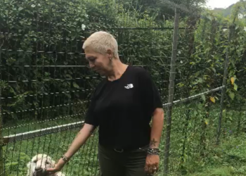 Canile di Agnano a rischio sgombero: 74 cani minacciati dalla burocrazia a Napoli