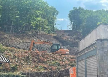 Scempio in Basilicata: 951 alberi abbattuti per costruire una pista da sci in plastica