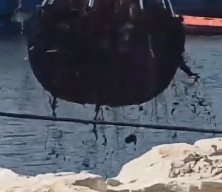 Bagnoli, mare nero e fanghi in colata: Procura intervenga!