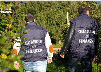 Caporalato in Val di Non, braccianti sfruttati: sequestrati 384mila euro