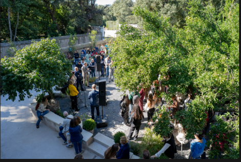 Alla Reggia di Caserta nasce “Il Giardino della Camelia”, il nuovo spazio tra cultura, inclusione e riscatto femminile